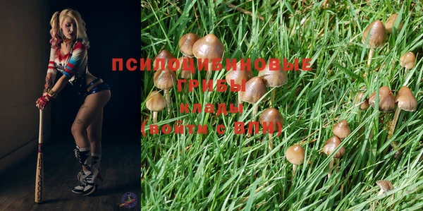 гашишное масло Баксан