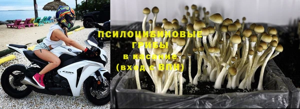 шишки Балахна